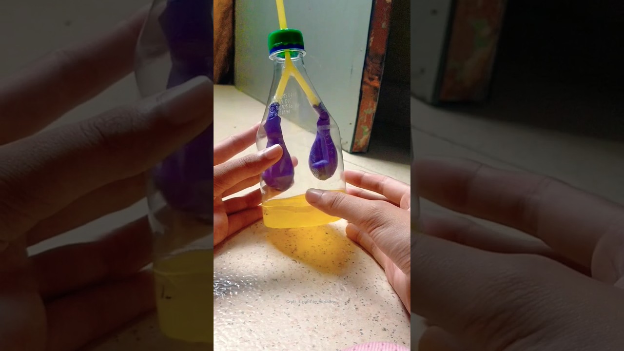 Respiratory System Model/working model of lungs/ best science project #shorts #viral #project #diy