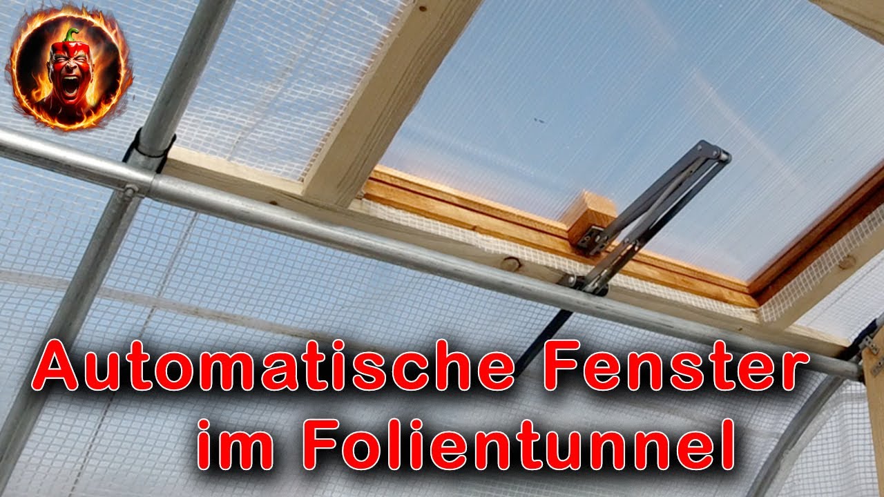 Automatikfenster im Folientunnel  |  automatische Fensteröffner  |  DIY  |  selber bauen