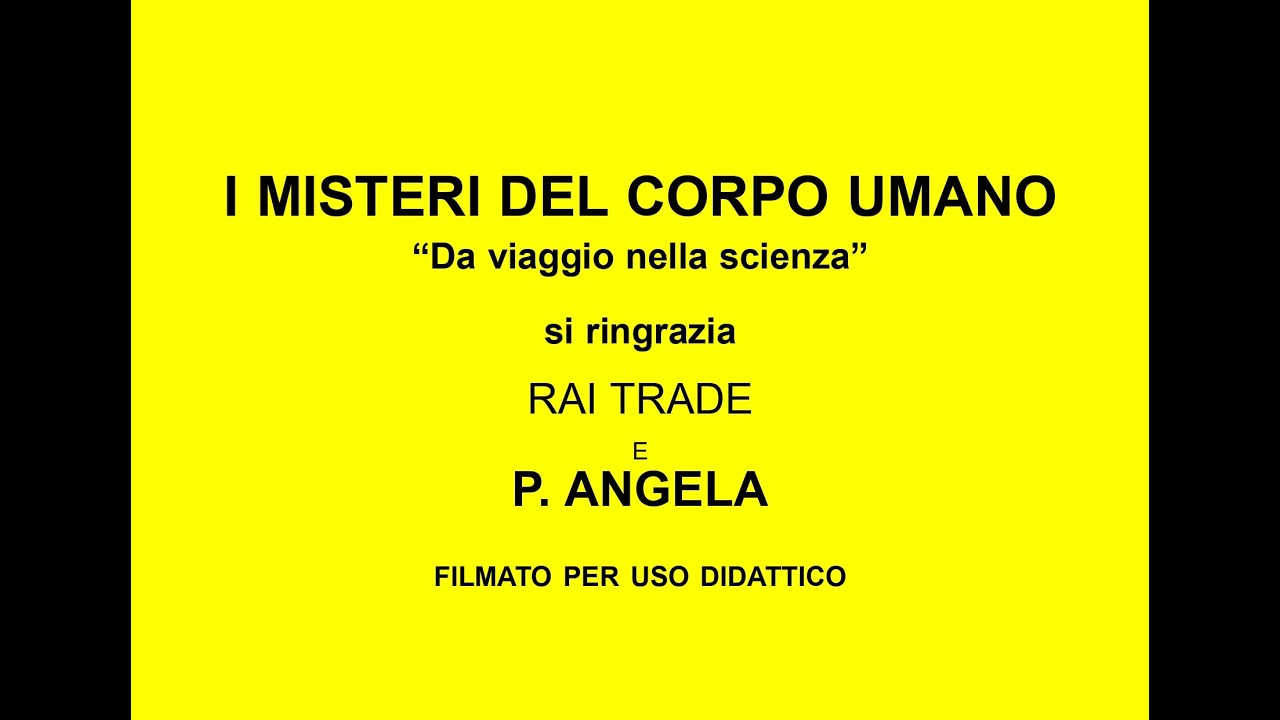 CORPO UMANO