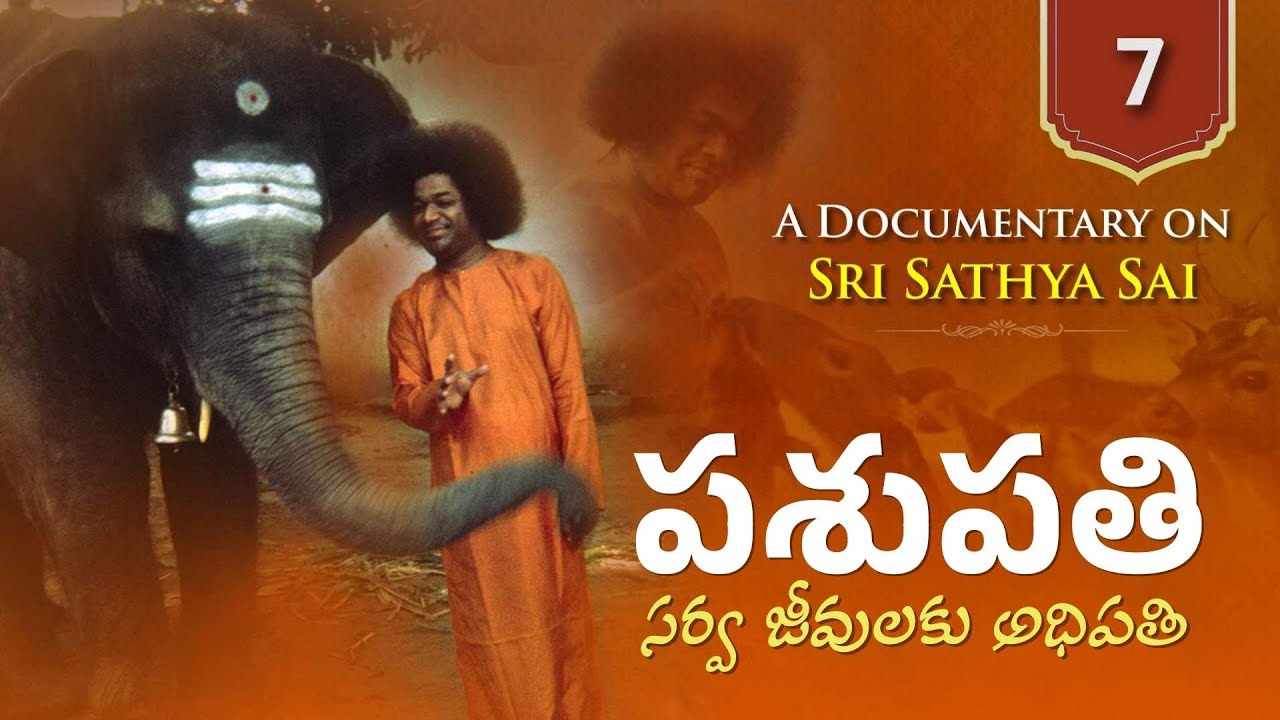 Documentary - 07 | పశుపతి - సర్వ జీవులకు అధిపతి | Pashupati - The Lord of All Creatures