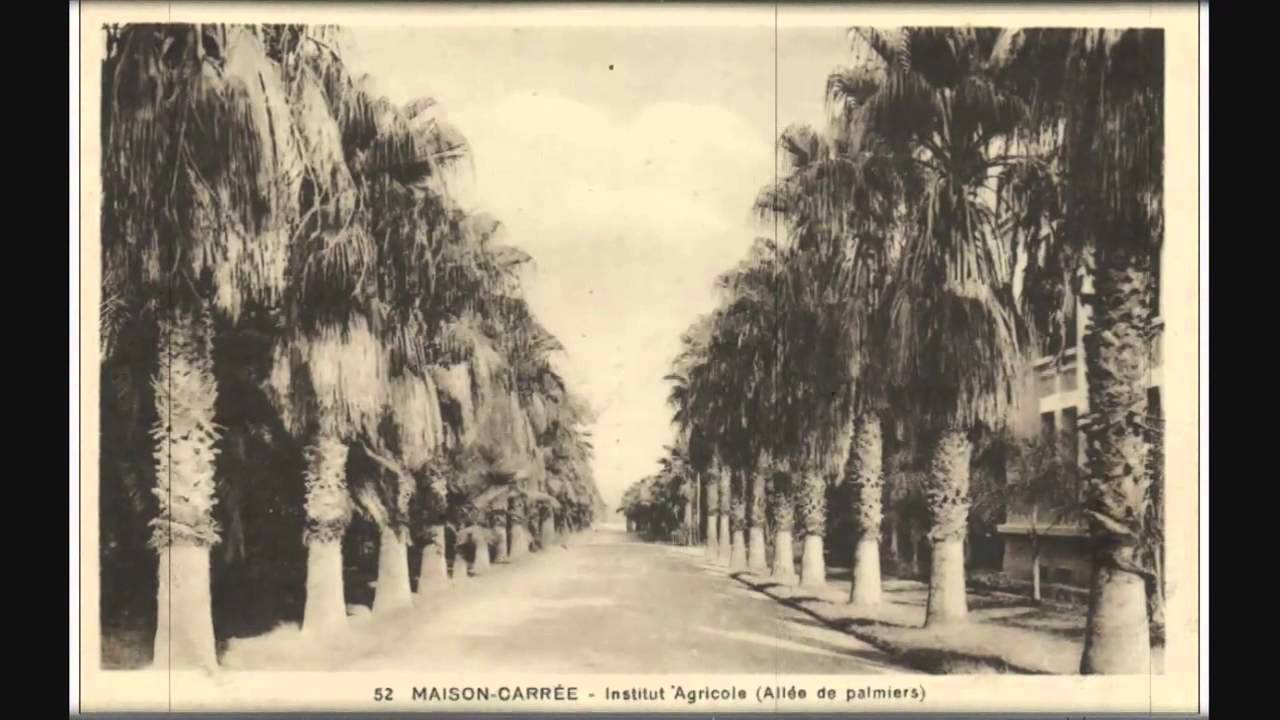 la belle époque   Souvenirs de Maison-Carrée, Le 10ème arrondissement du Grand Alger