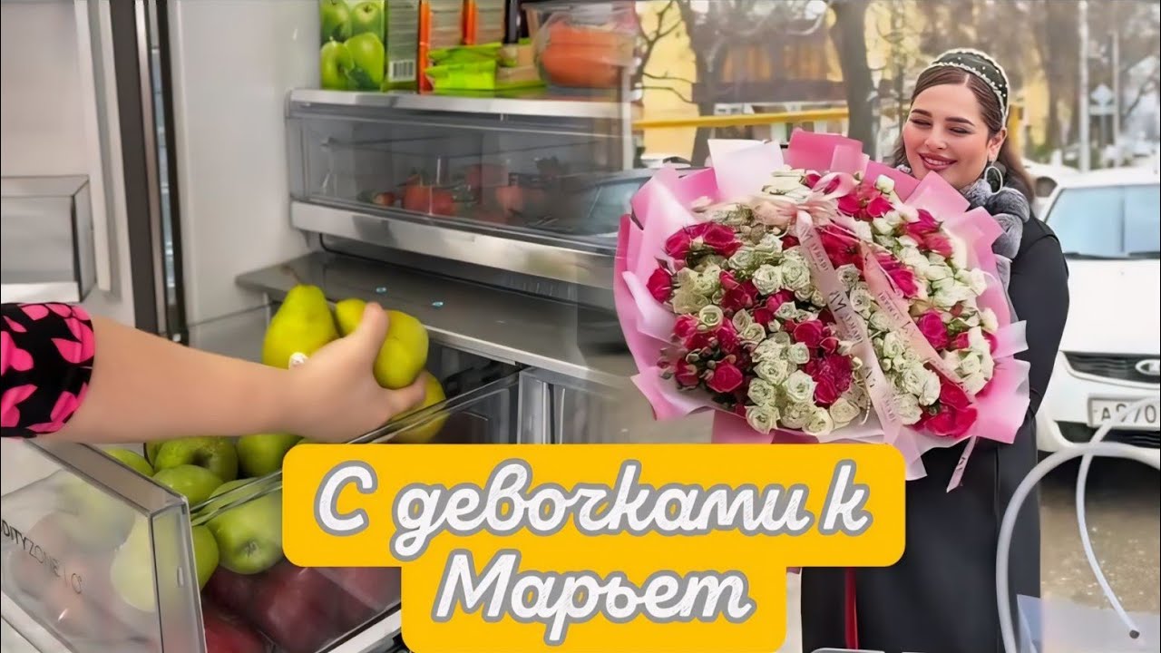 СЕГОДНЯ КАРДИНАЛЬНАЯ🤩 РАЗНИЦА ПОРОДИСТЫХ КОШЕК И ДВОРНЯЖЕК🥰
