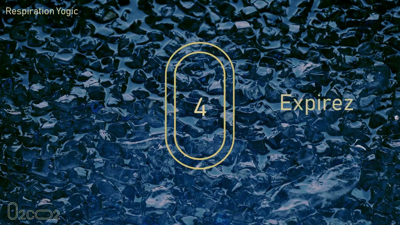 ANIMATION R11 RESPIRATION YOGIC