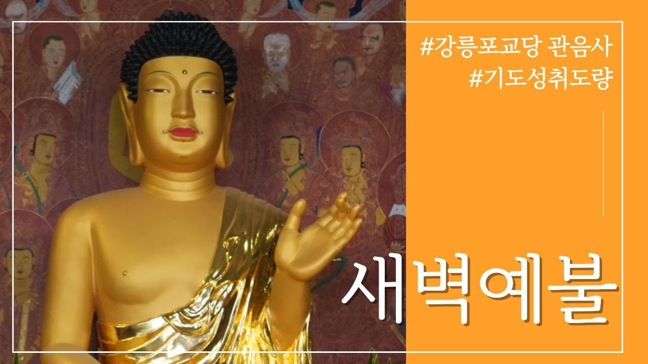 새벽예불 | 강릉 #관음사 - 부처님과 함께 하루를 시작하세요 #강릉포교당관음사