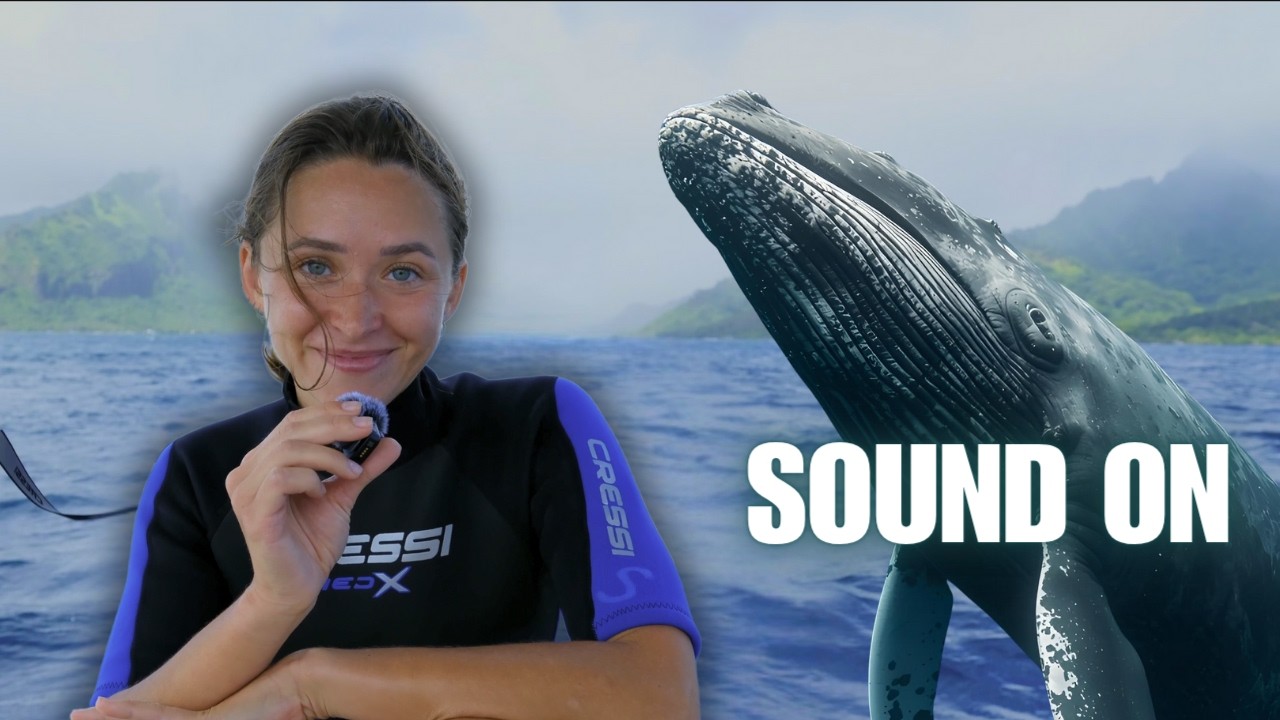 Swimming with SINGING Whales in French Polynesia