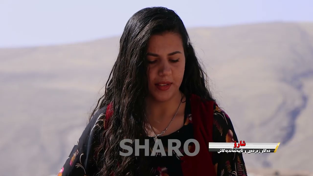 شارۆ _ بڕگەو 11: دەگاو زەردەی و تایبەتمەندیەکاش