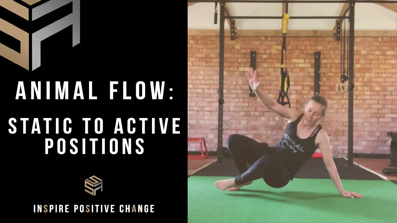 Animal Flow Demo: Static to Active Positions