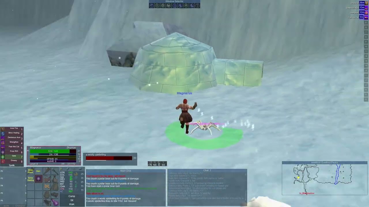 Barb Shaman Self Found Everquest Quarm 2