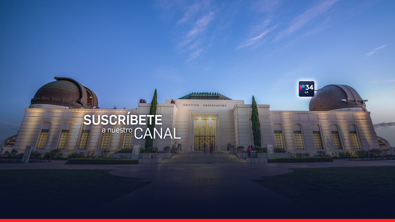 En Vivo: Operativo antidrogas en MacArthur Park