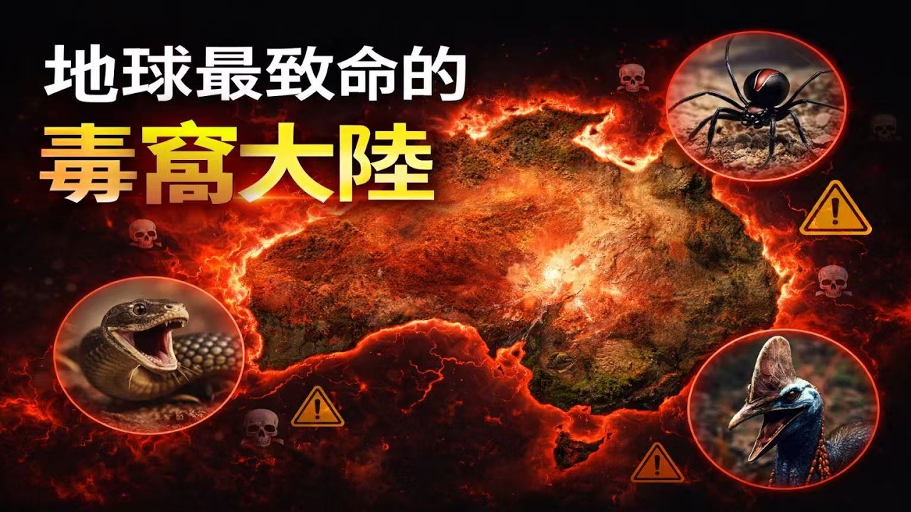 澳大利亚大陆：神秘生物与地球最危险物种的家园