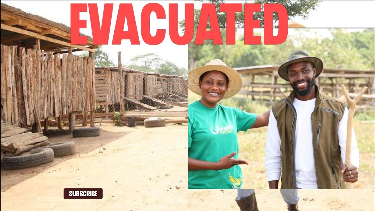 ‼️UPDATE ‼️ This Is Why Semanhyia Farms Is No More | Losing Over 5 Million Investment Farms To Taboo