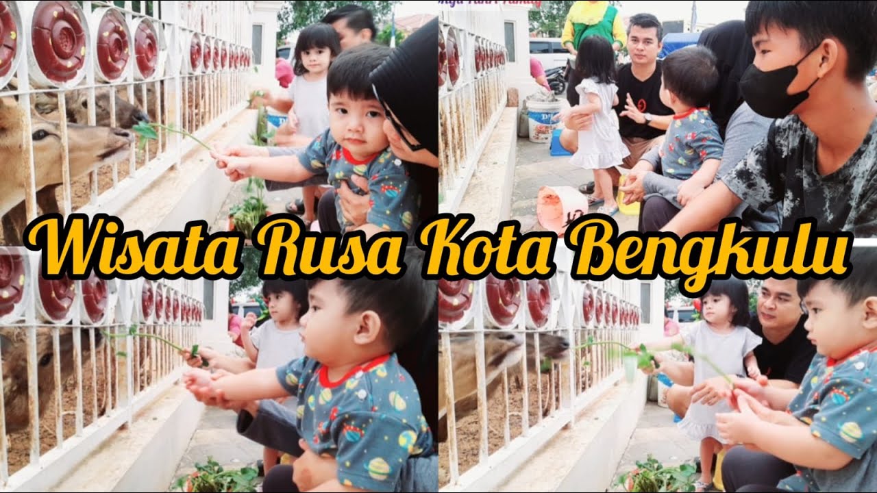 OBJEK WISATA RUSA PART 2