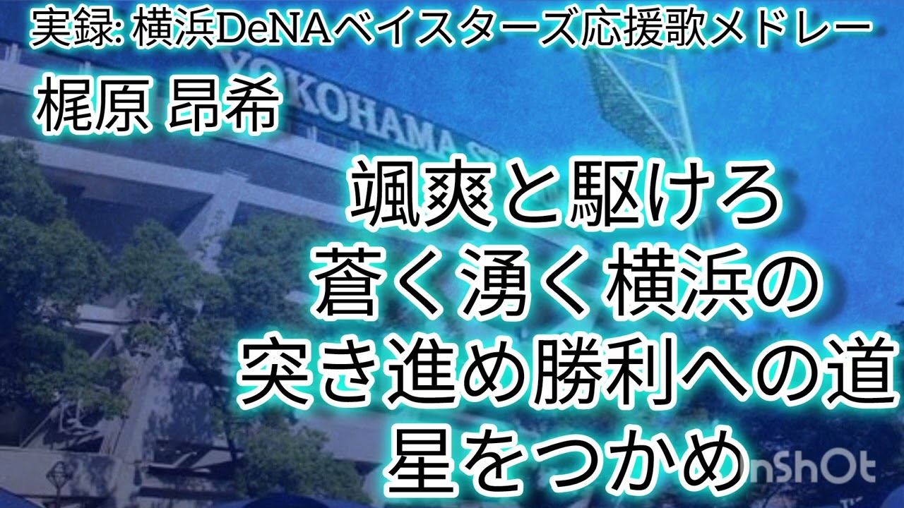 【現地音源】横浜DeNAベイスターズ応援歌メドレー流用もあるよ