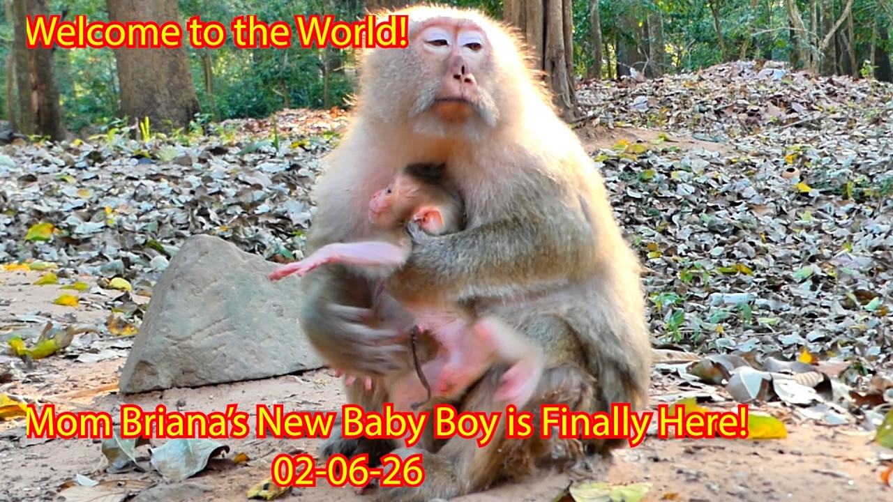Welcome to the World! 👶 Mom Briana’s New Baby Boy Hybrid is Finally Here! 02-06-26