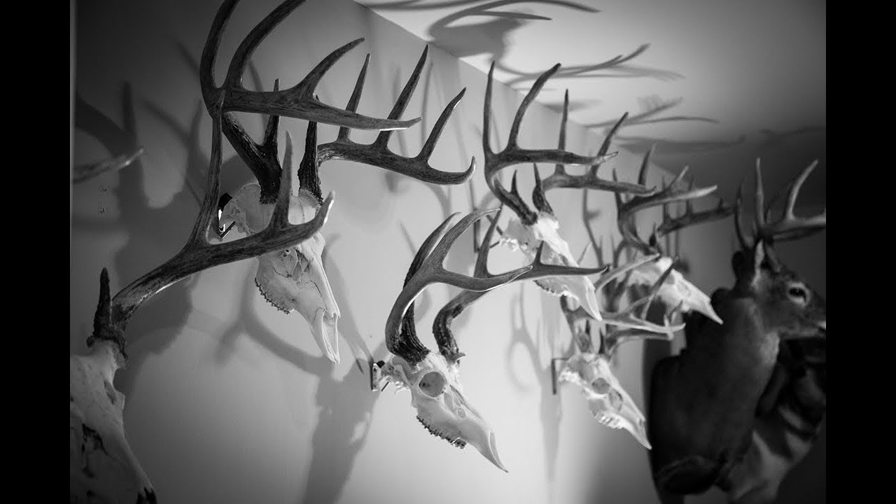 DIY European Mount Hangers