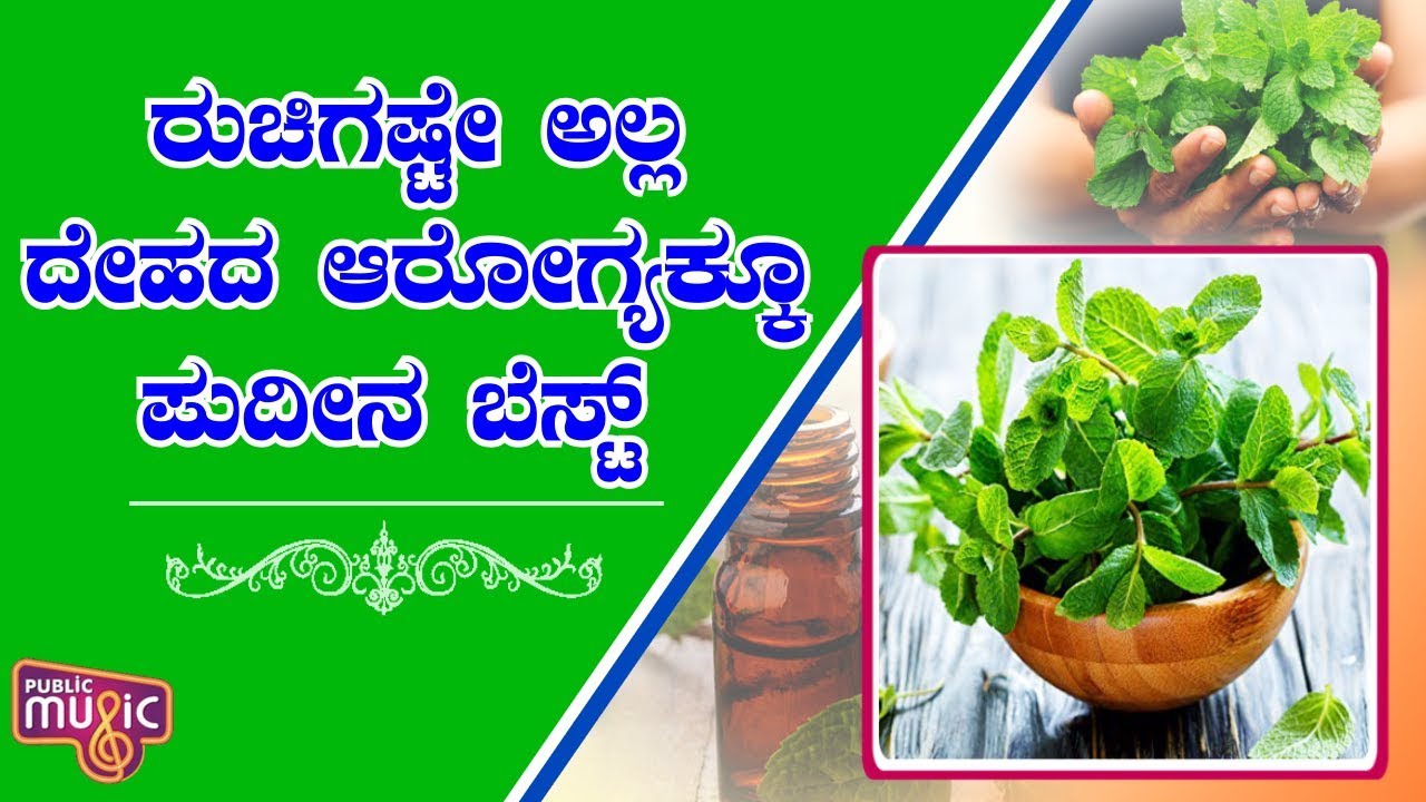 Incredible Health Benefits Of Mint (Pudina) Leaves