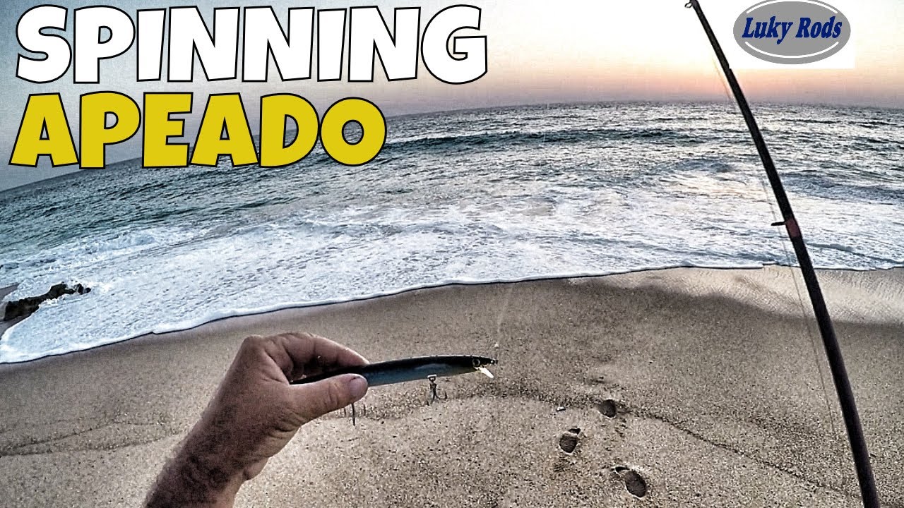 SPINNING APEADO, ONDE É QUE ANDA O PEIXE? 🤔🎣 COM A COLABORAÇÃO LUKY RODS