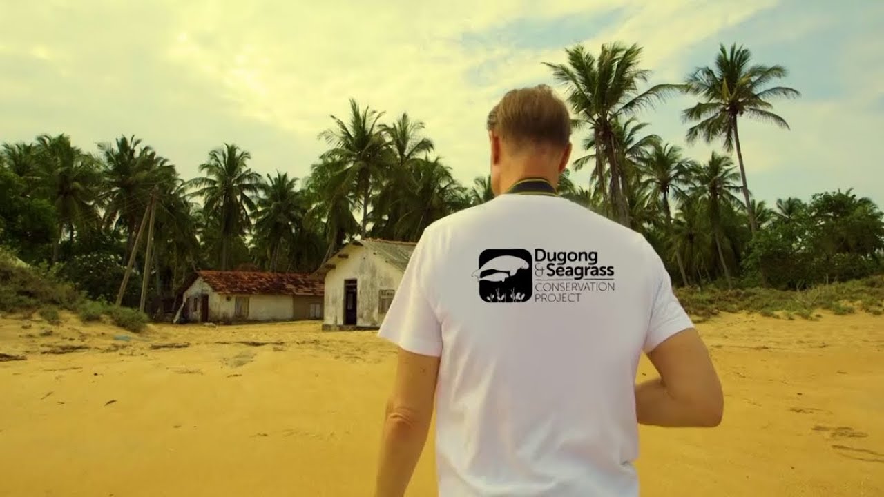 dugong srilanka dugongproject web