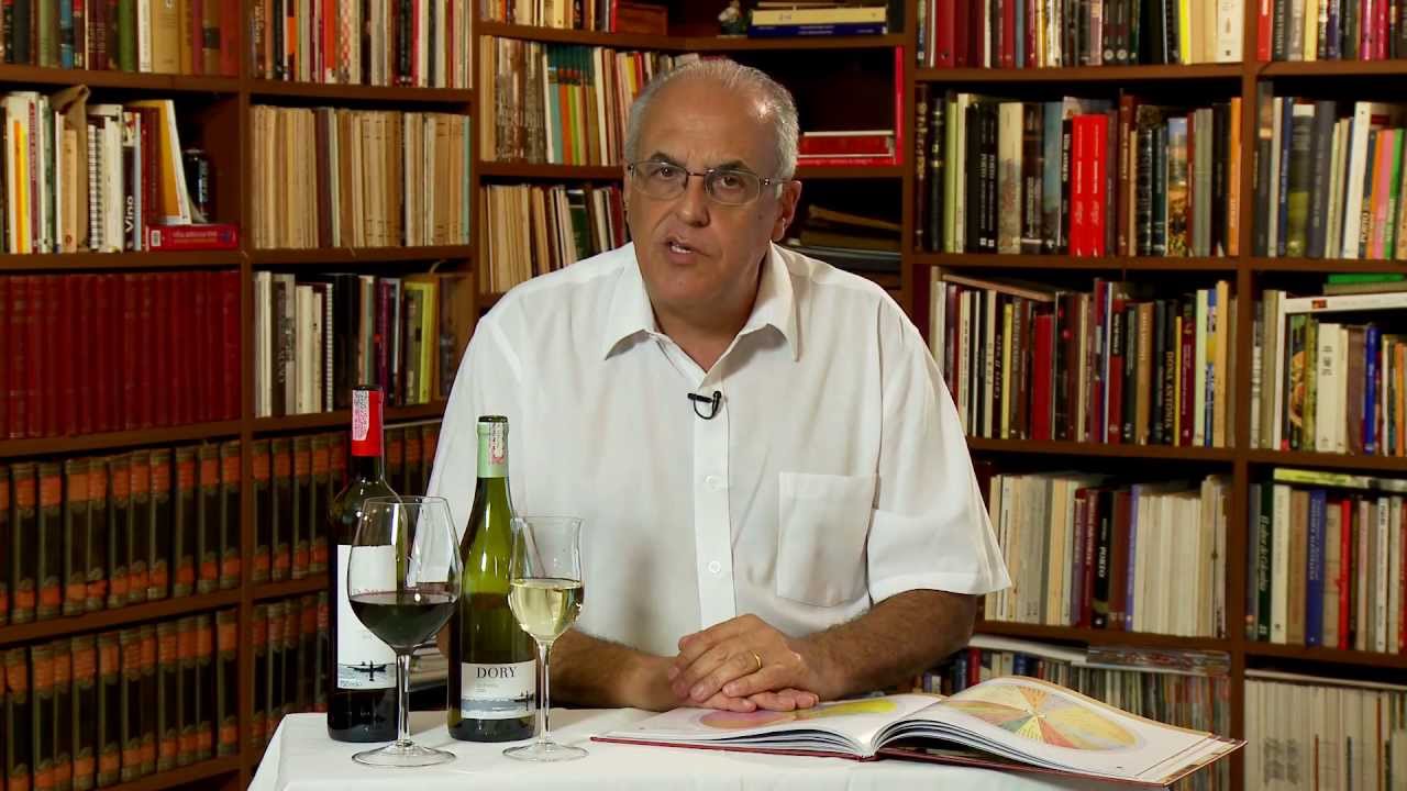 Como Degustar um Vinho | Episódio 06