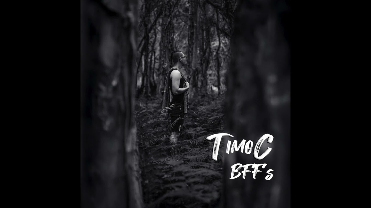 TimoC - BFF's (Audio)