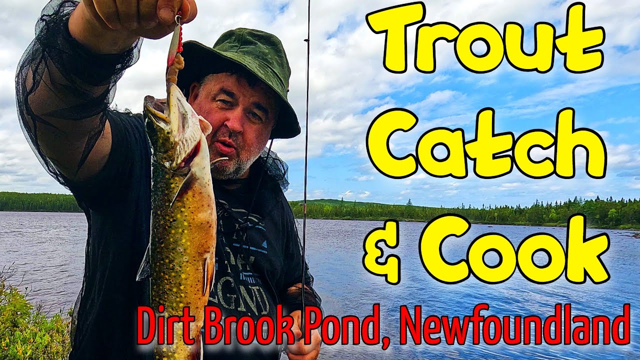 20 Years Later… Back at Dirt Brook for Trout Catch and Cook!