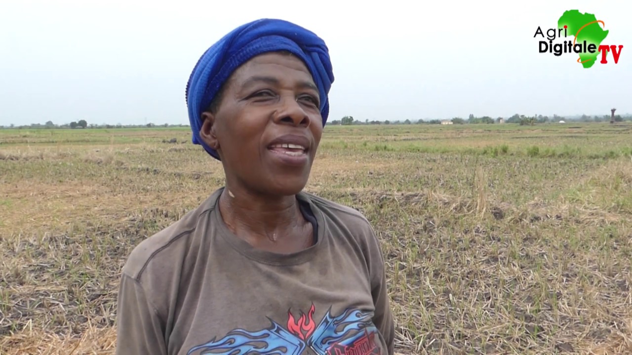 Togo: Ces femmes métayères de Kovié