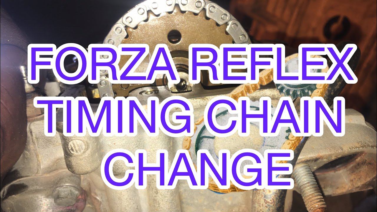 Honda forza reflex- engine rebuild / timing chain change