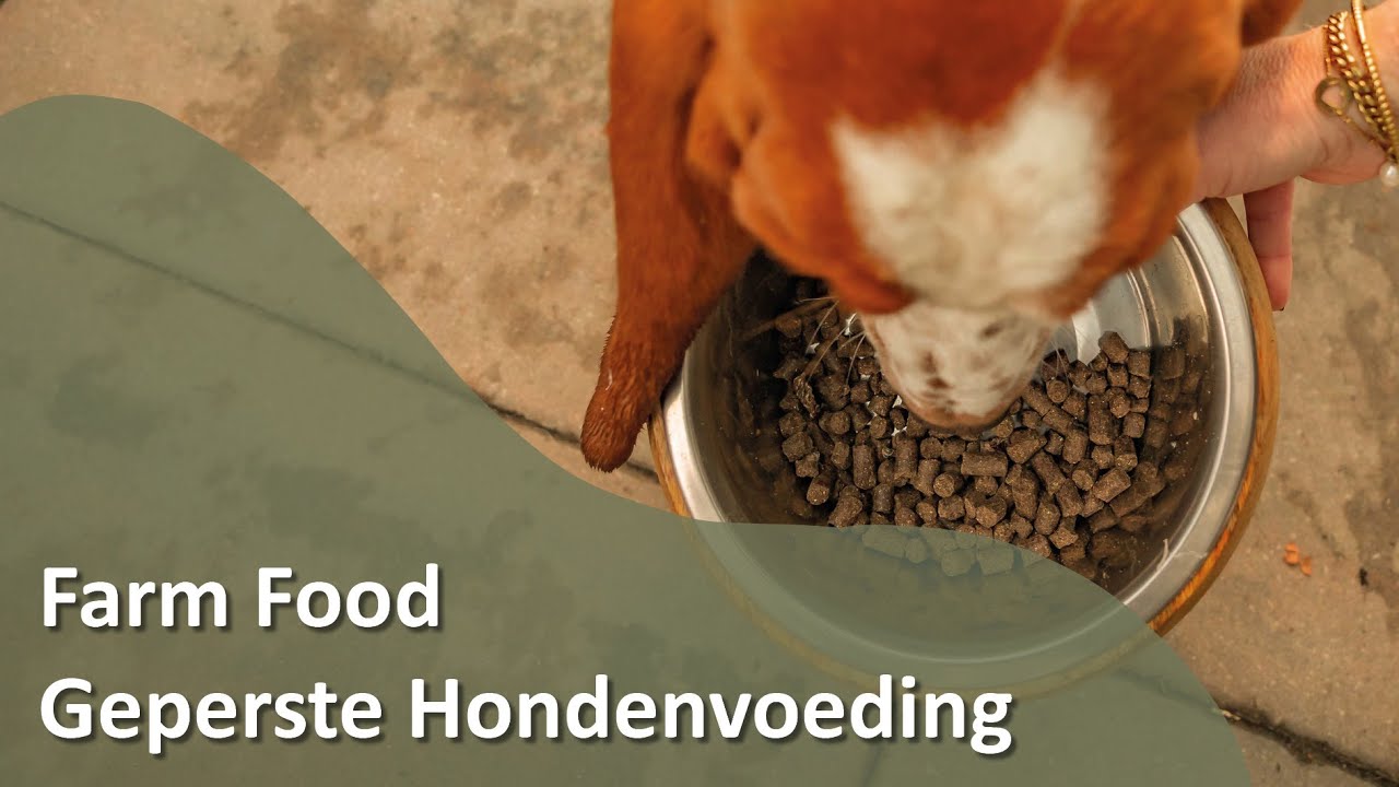 Welkom bij Farm Food: Geperste Hondenvoeding (deel 1 van 3)