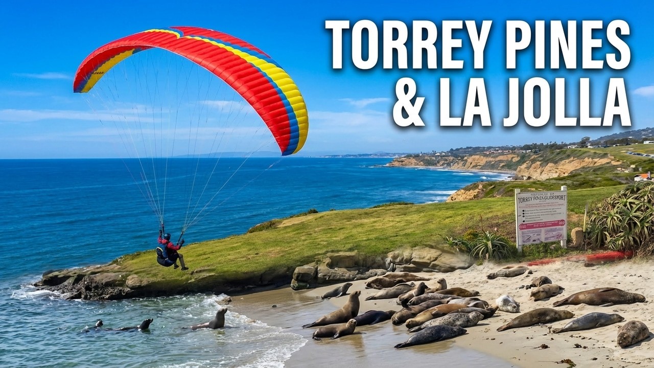Paragliding  and La Jolla's Most Stunning Views