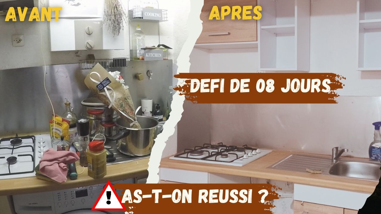 AVANT / APRES  8 Jours. 35m². 4 Personnes.  3 animaux. Mauvaise Idée ?