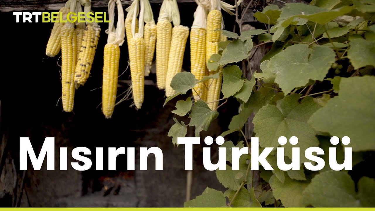 Mısırın Türküsü | TRT Belgesel