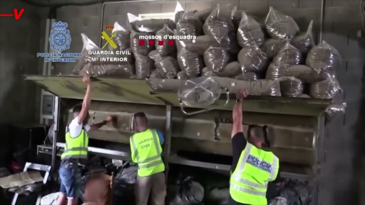 Spain largest bust 50 tones of cannabis