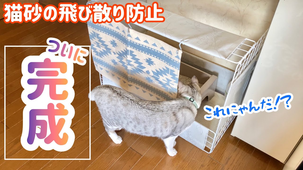 後編【DIY】ついに完成。100均の材料だけで、どうしようも無い猫砂問題を解決します‼︎