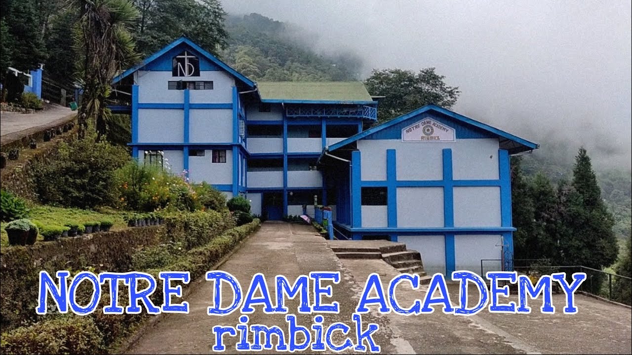 NDA rimbick visit after a long / vlog 