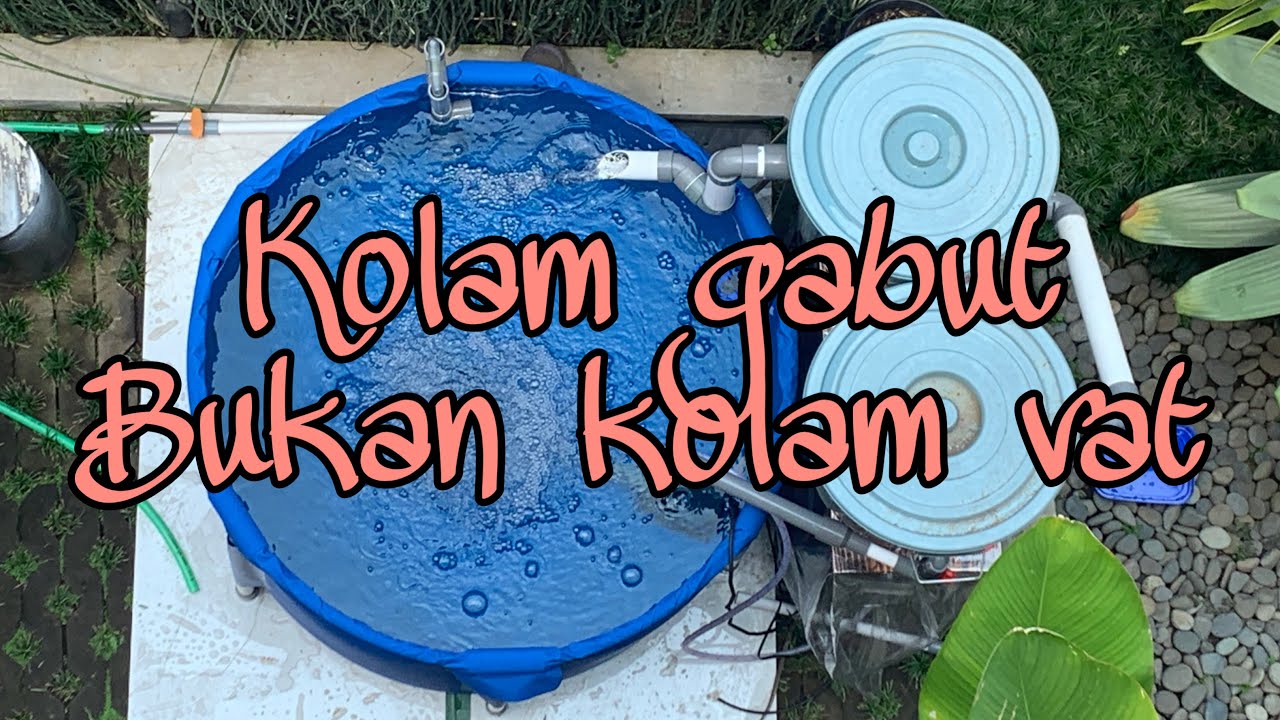 Bikin kolam vat buat keeping koi