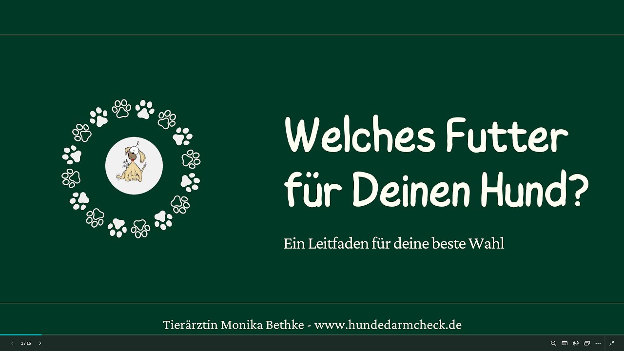 Welches Futter für Deinen Hund - Wie das Futter die Darmsanierung unterstützt.
