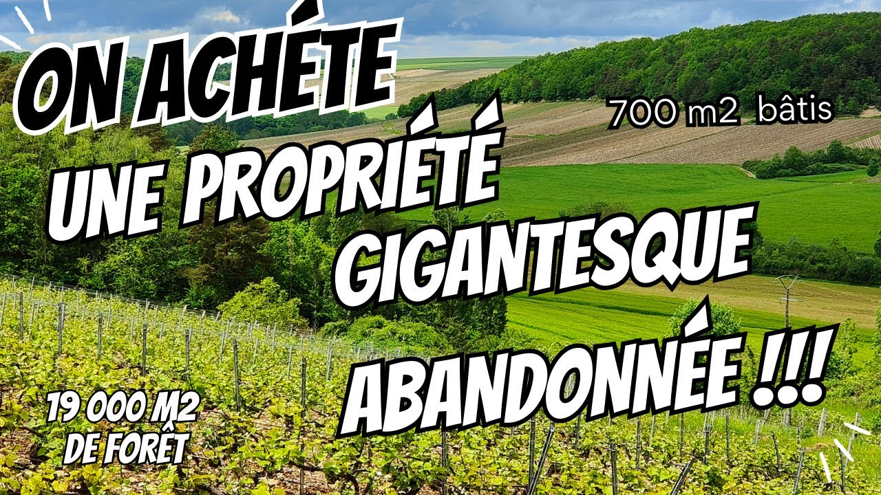 On quitte tout pour un r&ecirc;ve fou : construire des g&icirc;tes sur 19 000 m&sup2; en Champagne ! :🌟