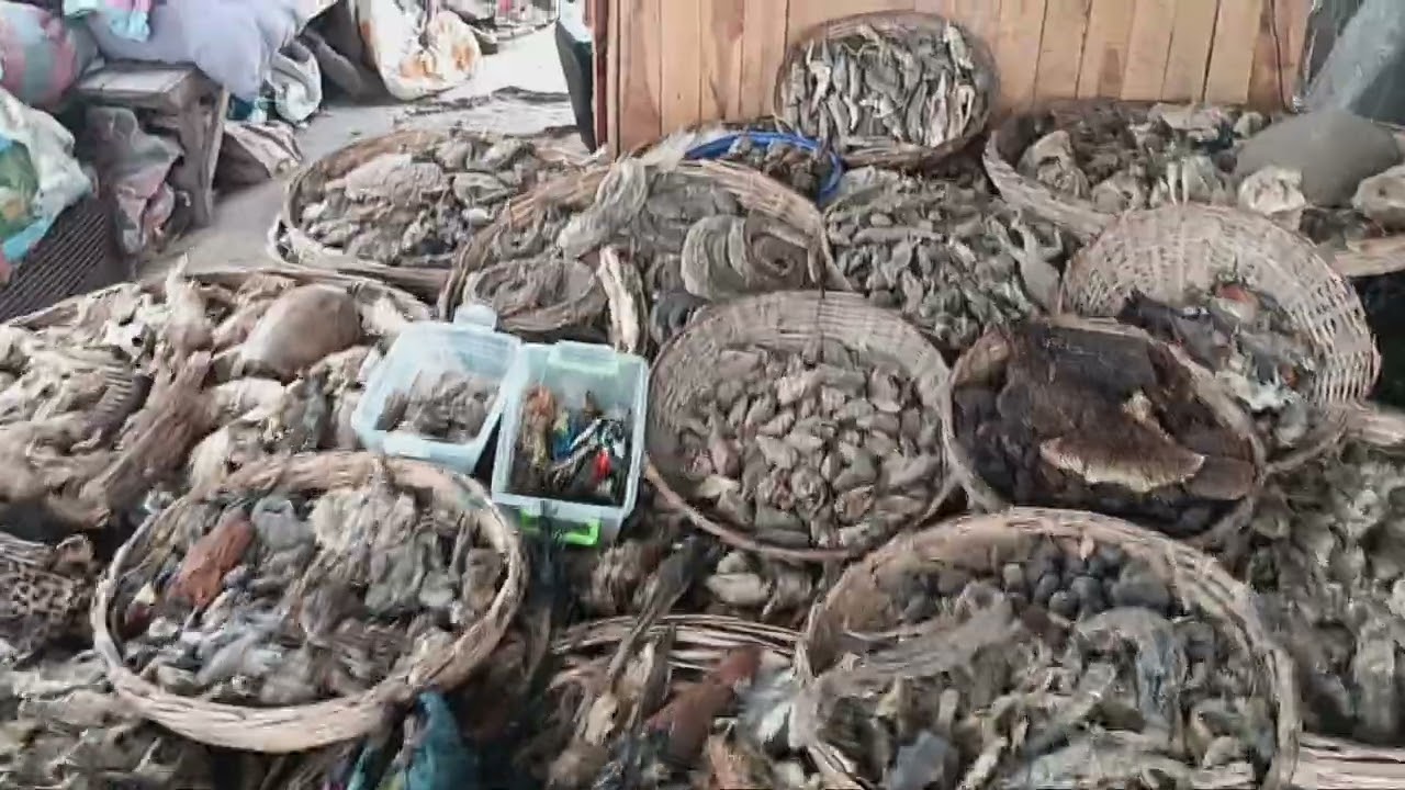 Grande Marche - Fetish Market In Cotonou Part 2 - Benin - December 2024