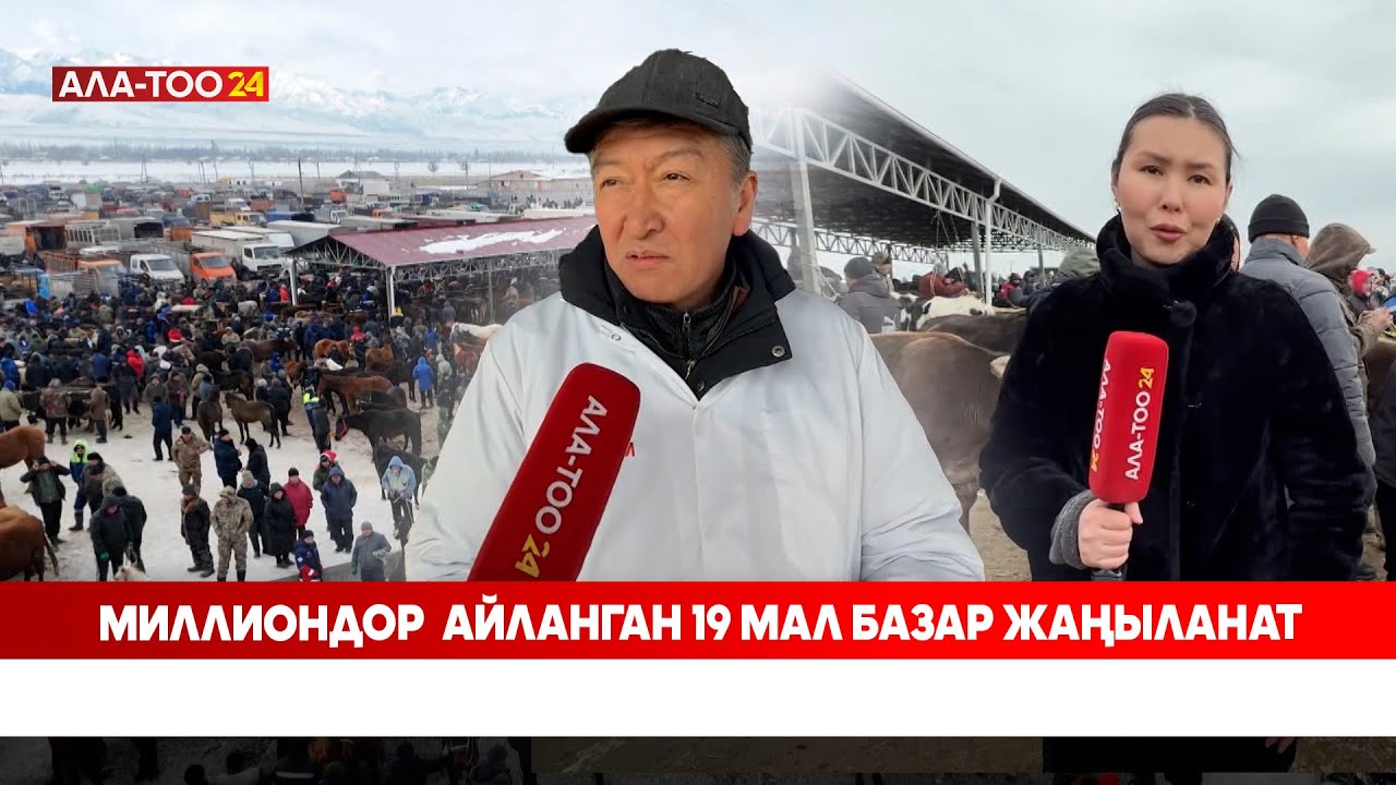 Миллиондор  айланган 19 мал базар жаңыланат