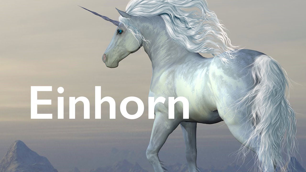 Einhorn - Über das Leben in einer Welt ohne Magie - Ahnenmedizin - Seelenhomöopathie - Fohlenstein