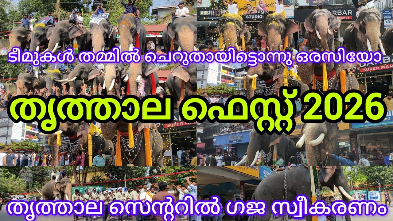 തൃത്താല നേർച്ച 2026ടീമുകൾ എല്ലാം ആനകൾക്ക് കൊടുത്ത വമ്പൻ സ്വീകരണം അതിന്റെ ഇടയിൽ ടീമുകൾ തമ്മിൽ ഉരസൽ.