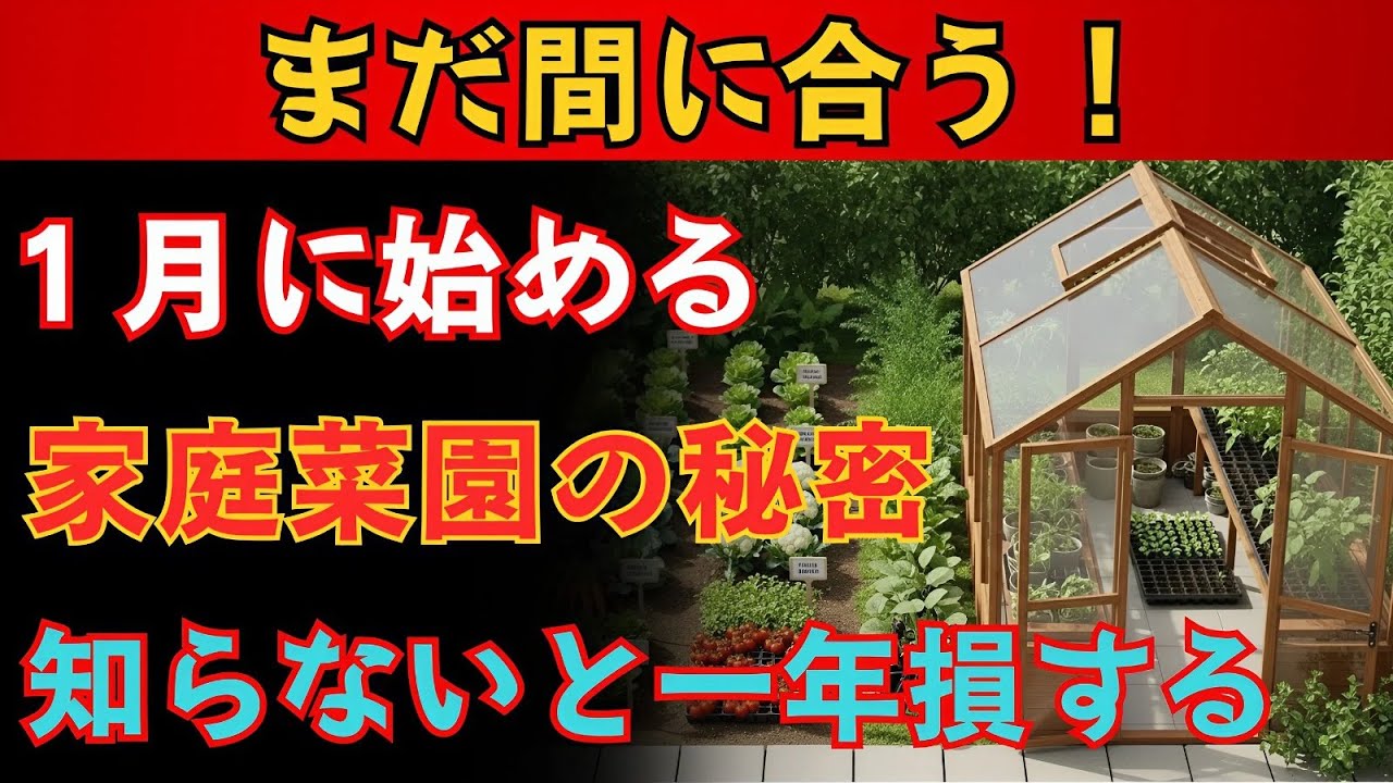 １月に始める家庭菜園、家族を守る１７の作物と食料難に備えるために今すぐできること