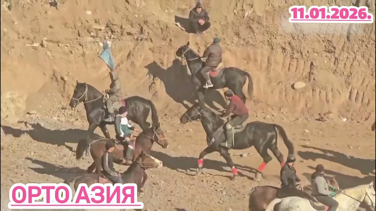 Ноокатта ото Зооор Улак болду Манас Нияазов 100000мин Сомго Салым салды