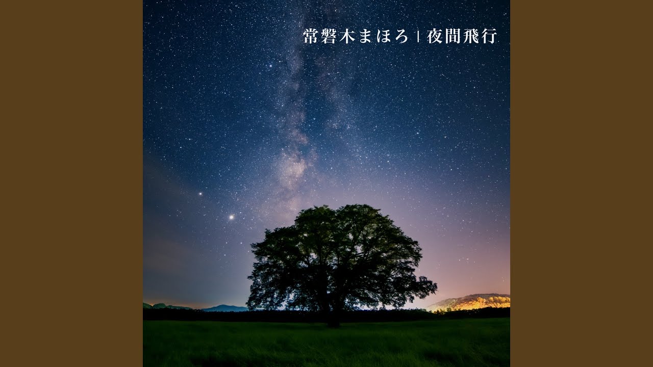夜間飛行