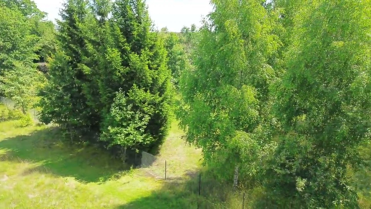 Stare Masiewo - wyjątkowe miejsce w Puszczy Białowieskiej - 2623 m2 z WZ!