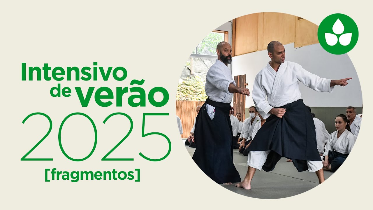 Tsuki (突き): Fragmentos do Intensivo de Verão 2025
