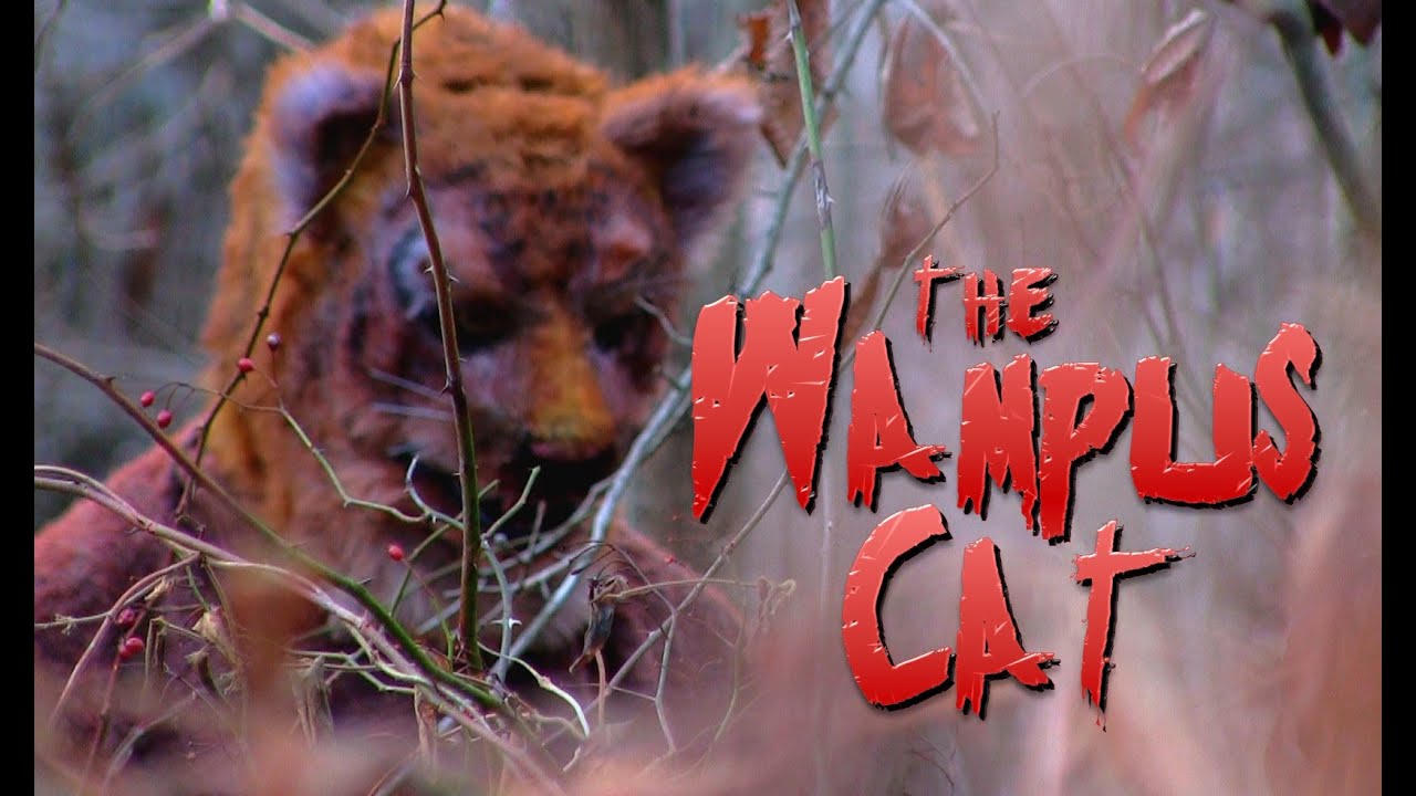 THE WAMPUS CAT (2024) Official Trailer - Moonlight Films