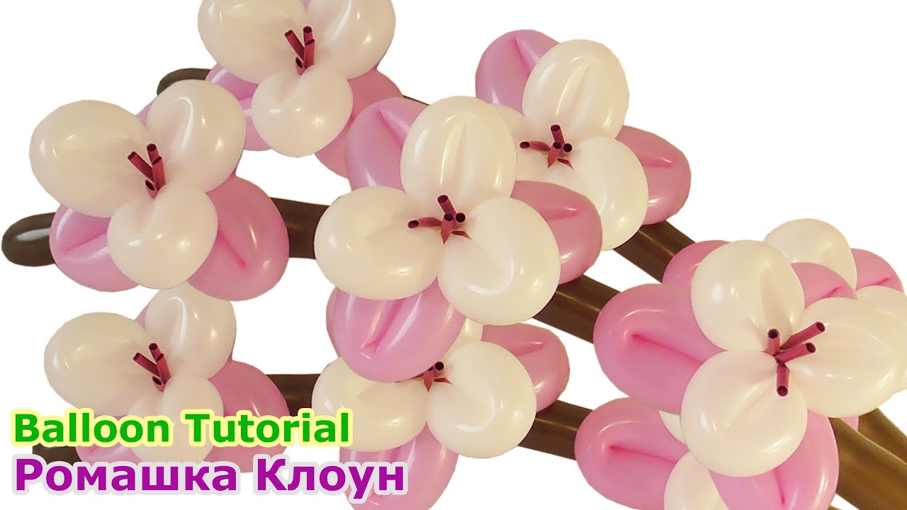 ЦВЕТЫ ИЗ ШАРИКОВ как сделать цветущую ветку Balloon Flowers TUTORIAL flores con globos largos