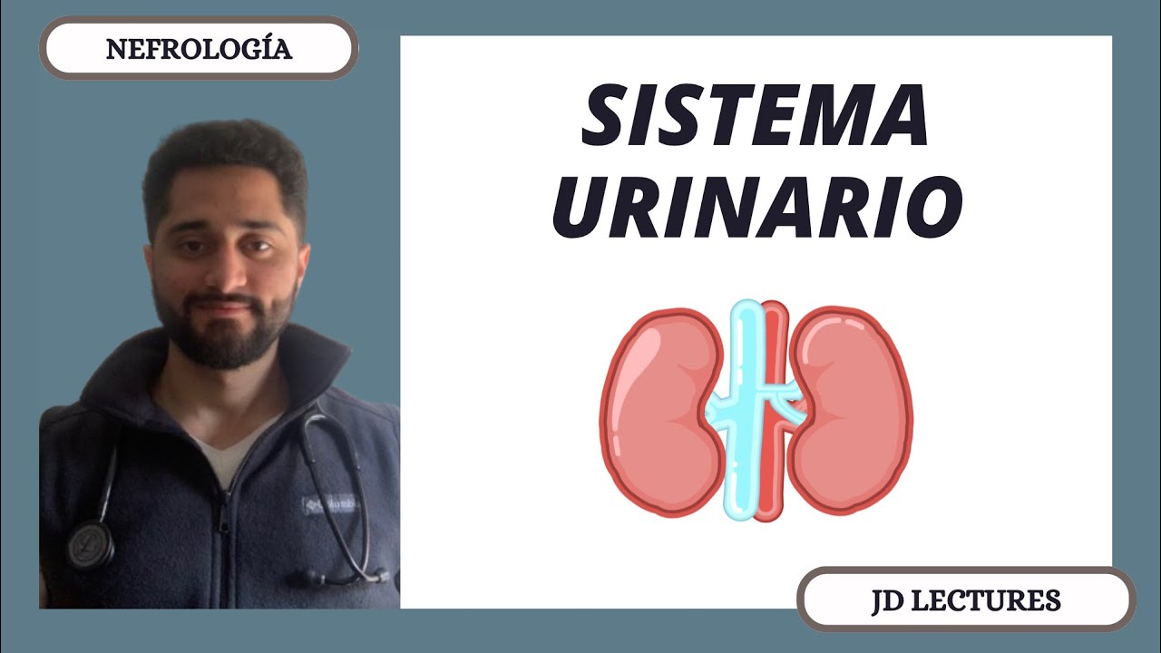 SISTEMA URINARIO | NEFROLOGÍA