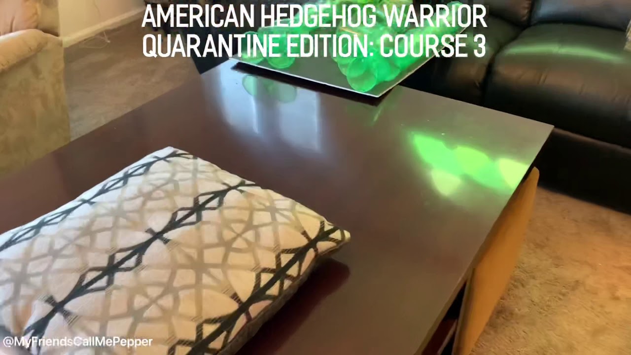 American Hedgehog Warrior: Course 3